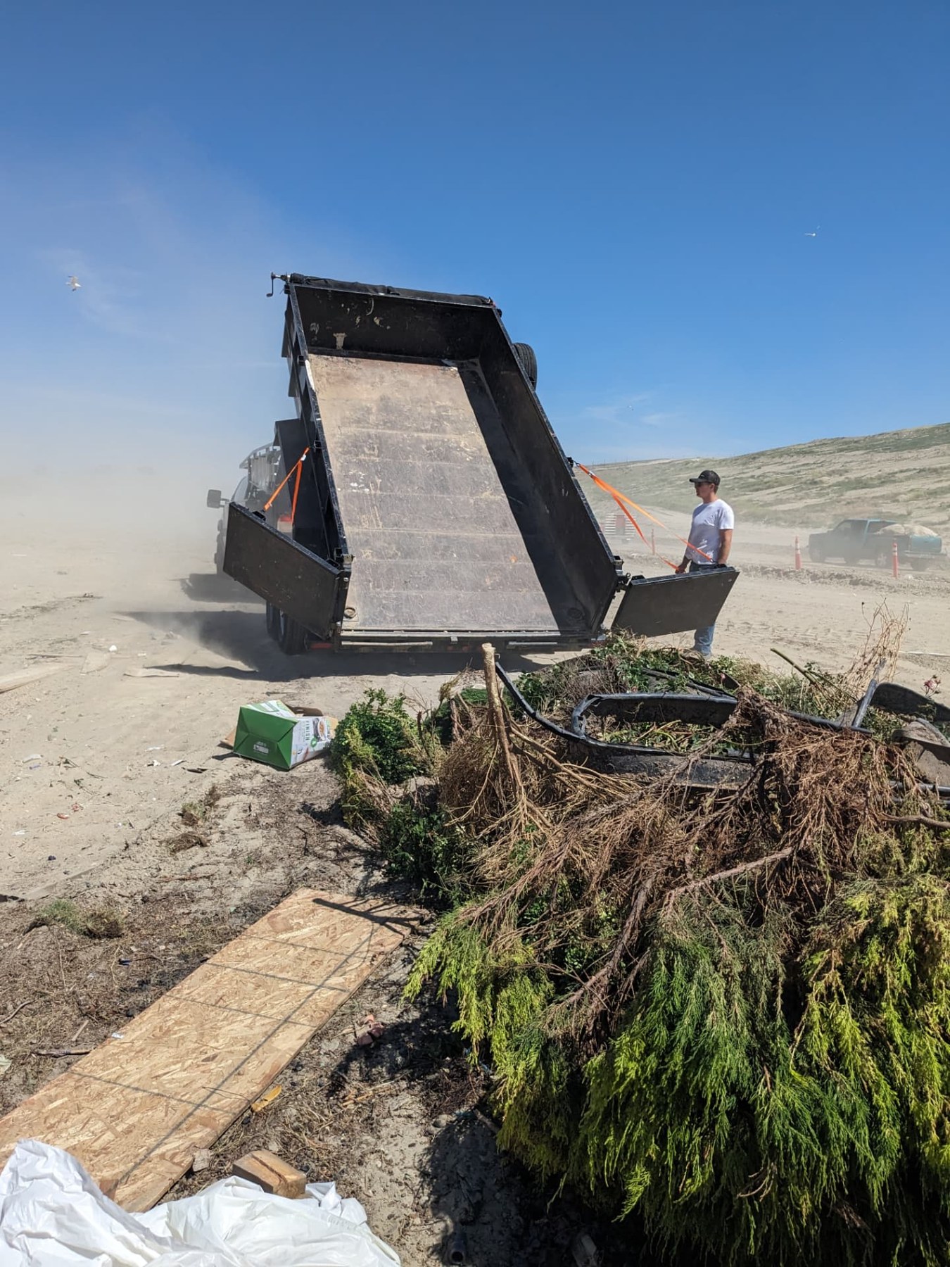 Dump trailer unloading tree branches and yard debris