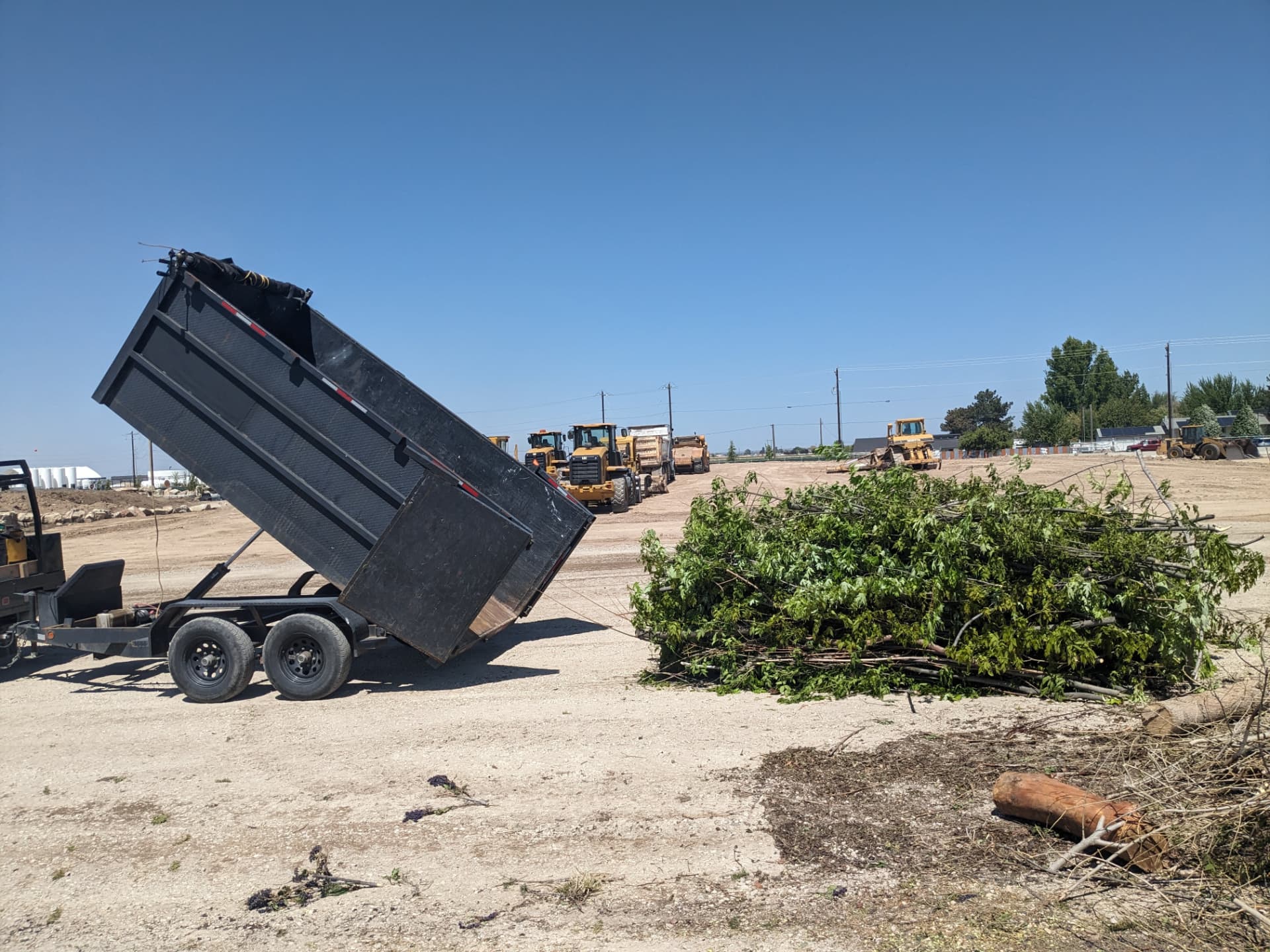 JUNK REMOVAL & YARD CLEANUP project