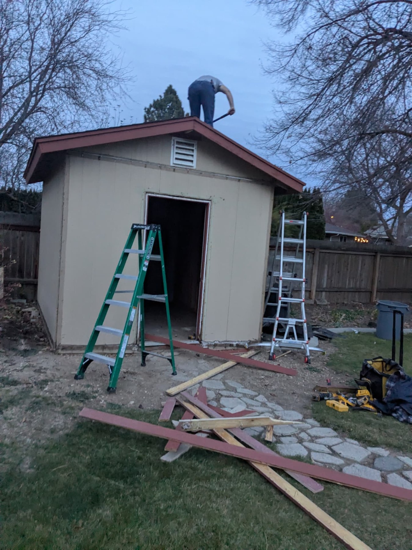 Front of a backyard shed with ladders and materials during repair work