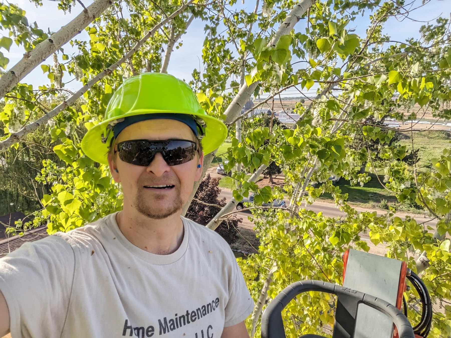 Crew member wearing a safety helmet during tree work
