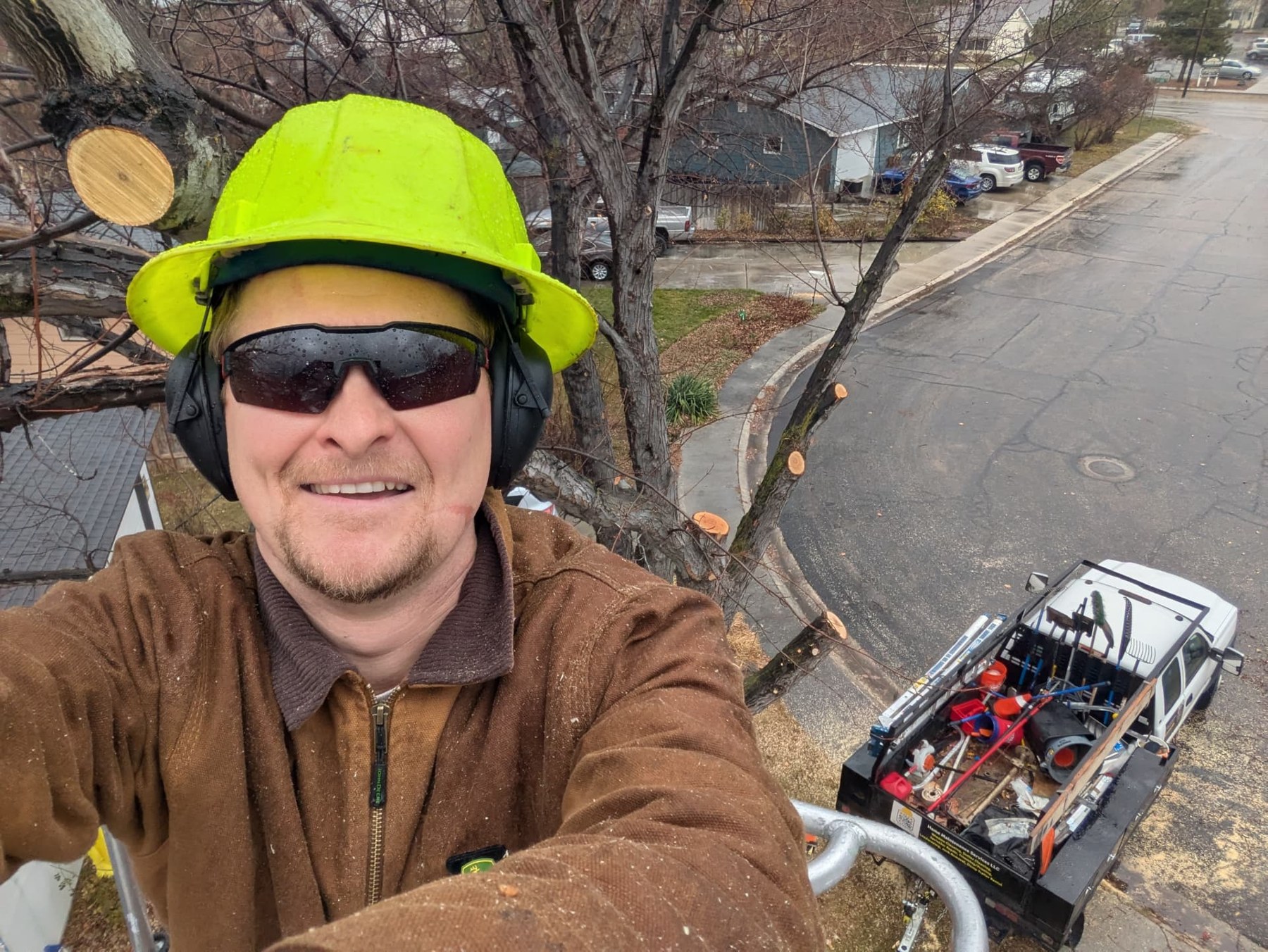 Crew member wearing protective equipment while working high in a tree