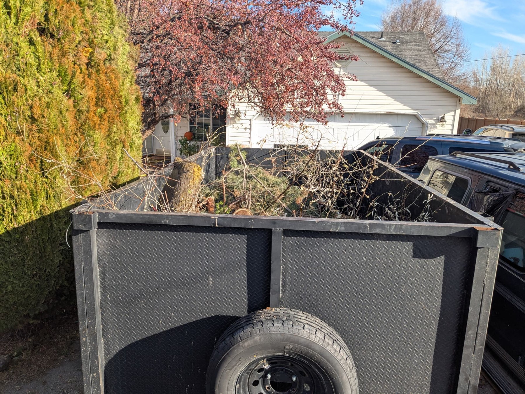 Dump trailer loaded with branches after tree work