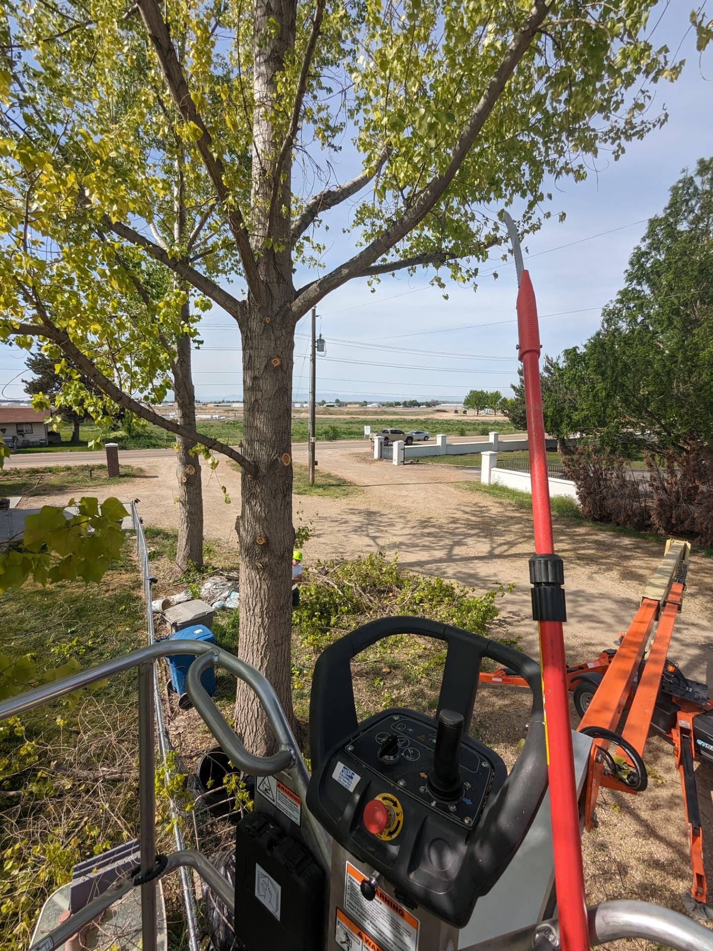 TREE TRIMMING & PRUNING project